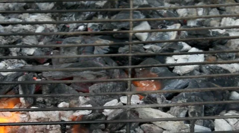 Corn Stock Footage 478986