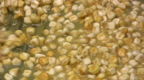 Corn Stock-Footage 2397149