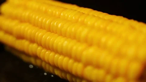 Corn Stock Footage 82015909
