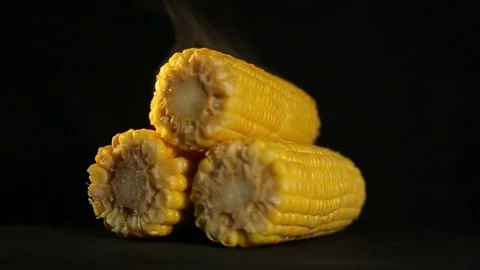 Corn Stock Footage 82016026