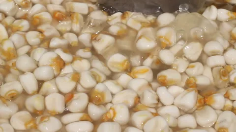 Corn Stock-Footage 99434828