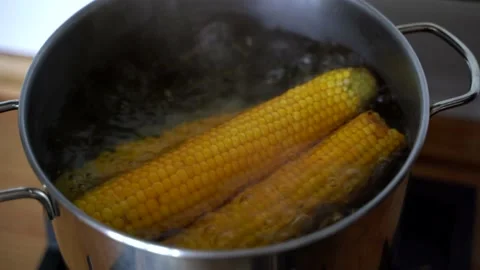 Corn Stock Footage 166805997