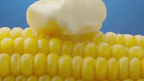 Corn Stock Footage 249262752