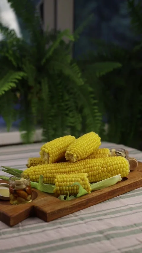 Corn Stock Footage 282521004