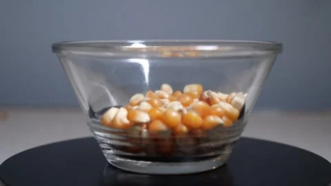 CORN Stock Footage 326628178