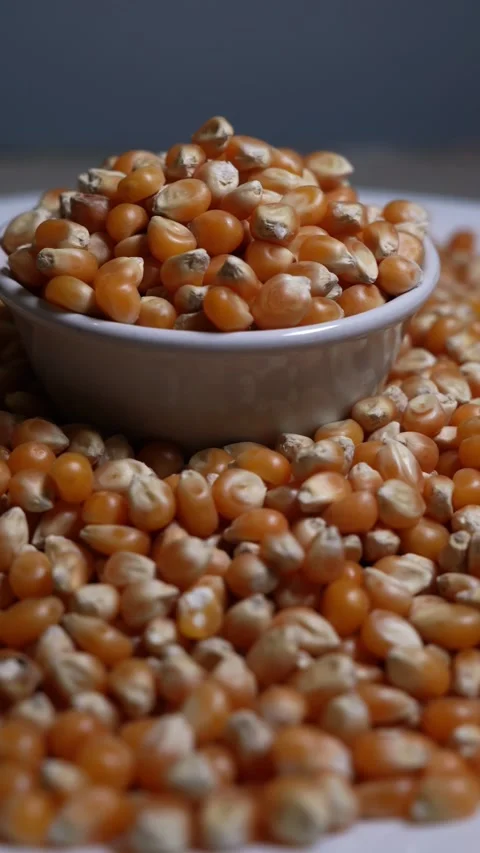 CORN Stock Footage 326628225