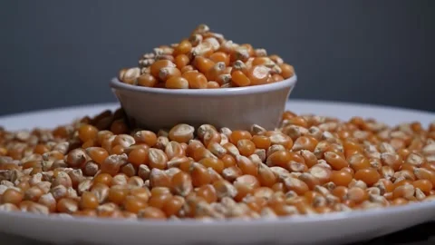 CORN Stock Footage 326628327