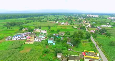 Corn forage silage farm and field drone shot Video stock 219320989