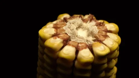 Corn. Fresh corn cob. Ripe yellow corn cobs in rotation, selective focus. Video stock 116412543