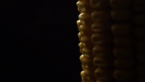 Corn. Fresh corn cob. Ripe yellow corn cobs in rotation, selective focus. Video stock 116413210