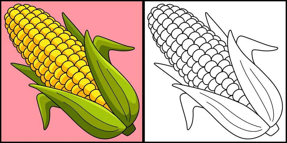 Corn Fruit Coloring Page Colored Illustration Stock Illustration