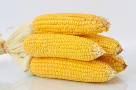 Corn fruit 库存照片