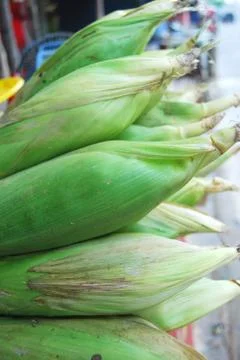 Corn fruit Stock Photos