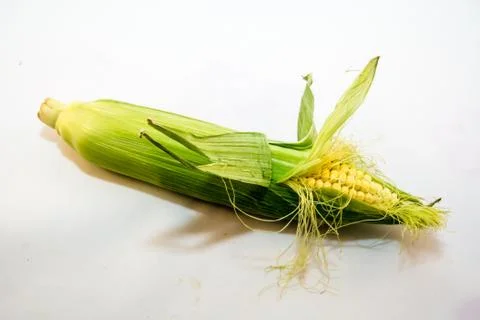 Corn fruit Stock-Fotos