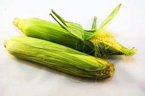Corn fruit Stock Photos