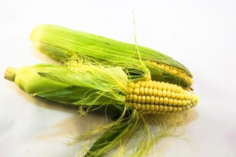 Corn fruit Stock Photos