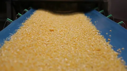 Corn is going to tape Stock-Footage 10917196
