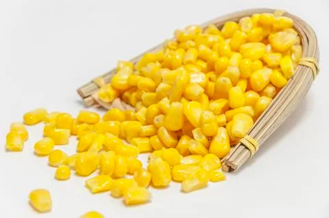 Corn grain Stock Photos