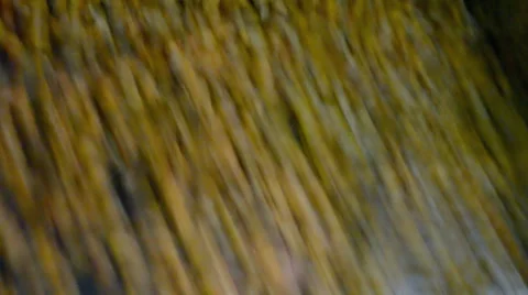 Corn grain in separator device under processing, industrial equipment. Stock-Footage 36192868