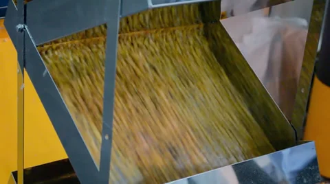 Corn grain in separator device under processing, industrial equipment. Stock Footage 36193000