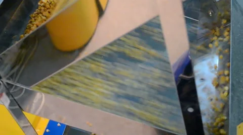 Corn grain in separator device under processing, industrial equipment details Stock Footage 46599936