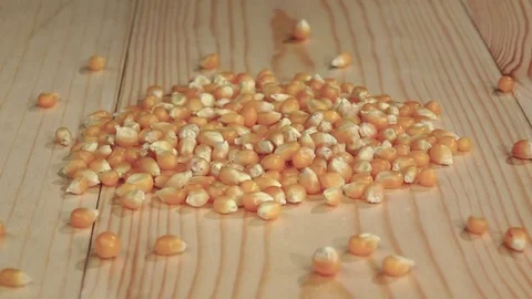 Corn grains are falling on the table. Close up. Slow motion Stock Footage 74735081
