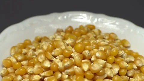 Corn grains in a bowl. Sweet maize, cereal grains. Rotation. Grey background. 動画素材 101477703
