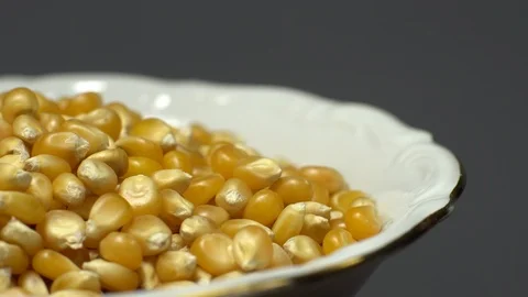 Corn grains in a bowl. Sweet maize, cereal grains. Rotation. Grey background. Stock Footage 101478464