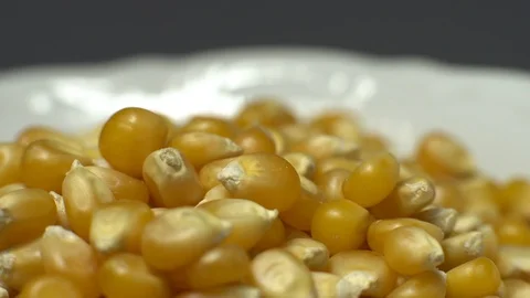 Corn grains in a bowl. Sweet maize, cereal grains. Rotation. Grey background. Stock Footage 101478602