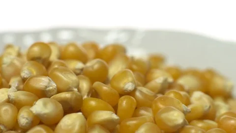 Corn grains in a bowl. Sweet maize, cereal grains. Rotation. Isolated on white. Stock Footage 101478662