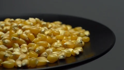 Corn grains in a bowl. Sweet maize, cereal grains. Rotation. Grey background. Stock Footage 101480141