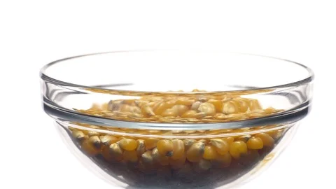 Corn grains in a bowl. Sweet maize, cereal grains. Rotation. Isolated on white. Stock Footage 101483598