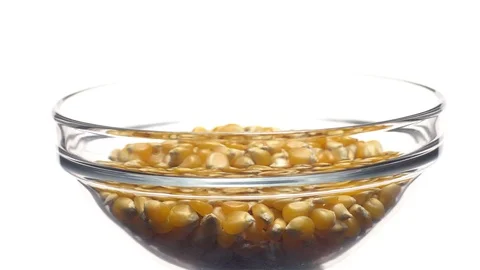 Corn grains in a bowl. Sweet maize, cereal grains. Rotation. Isolated on white. Stock Footage 101483680