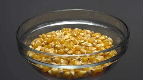 Corn grains in a bowl. Sweet maize, cereal grains. Rotation. Grey background. Stock Footage 101483789