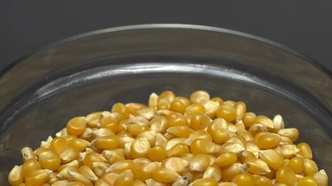 Corn grains in a bowl. Sweet maize, cereal grains. Rotation. Grey background. Stock Footage 101484008