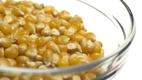 Corn grains in a bowl. Sweet maize, cereal grains. Rotation. Isolated on white. Stock Footage 101484203