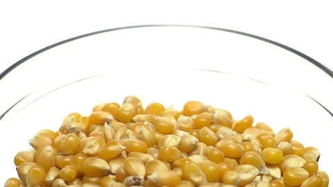 Corn grains in a bowl. Sweet maize, cereal grains. Rotation. Isolated on white. Stock Footage 101484256