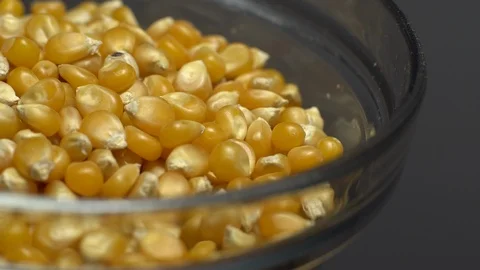 Corn grains in a bowl. Sweet maize, cereal grains. Rotation. Grey background. Stock Footage 101484296