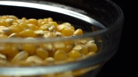 Corn grains in a bowl. Sweet maize, cereal grains. Rotation. Black background. Stock Footage 101484357