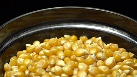 Corn grains in a bowl. Sweet maize, cereal grains. Rotation. Black background. Stock Footage 101484426
