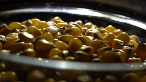 Corn grains in a bowl. Sweet maize, cereal grains. Rotation. Black background. Stock Footage 101484518
