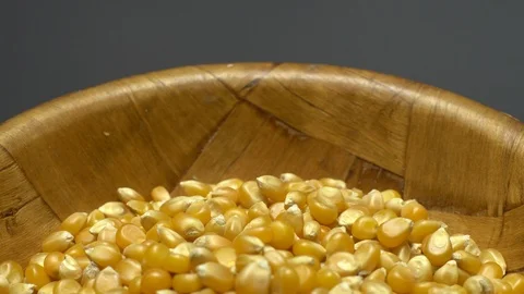 Corn grains in a bowl. Sweet maize, cereal grains. Rotation. Grey background. Stock Footage 101485482