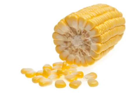 Corn grains isolated Stock Photos