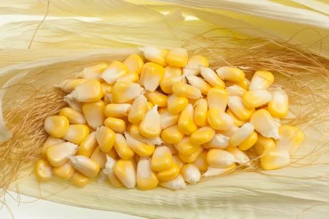 Corn grains Stock Photos