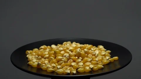 Corn grains in a plate. Raw organic seeds of Zea mays. 動画素材 101508048
