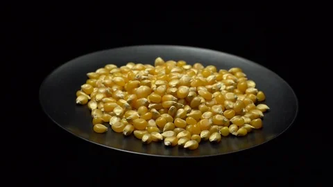 Corn grains in a plate. Raw organic seeds of Zea mays. Stock Footage 101508068