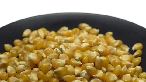 Corn grains in a plate. Raw organic seeds of Zea mays. Rotation. Stock Footage 101508708