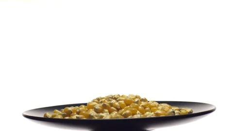 Corn grains in a plate. Raw organic seeds of Zea mays. Rotation. Stock Footage 101509060