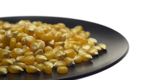 Corn grains in a plate. Raw organic seeds of Zea mays. Rotation. Stock Footage 101509371