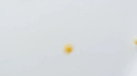 Corn grains pour. Stock Footage 57302589